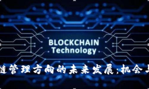 区块链管理方向的未来发展：机会与挑战