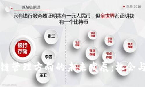 区块链管理方向的未来发展：机会与挑战