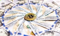 区块链技能应用案例详解
