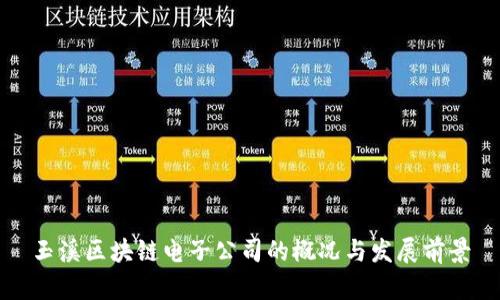 玉溪区块链电子公司的概况与发展前景