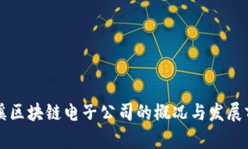 玉溪区块链电子公司的概况与发展前景