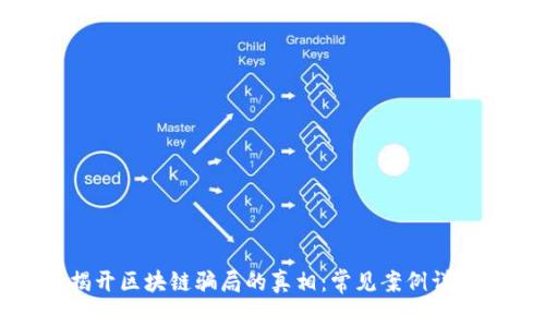 揭开区块链骗局的真相：常见案例详解