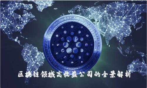区块链领域高收益公司的全景解析