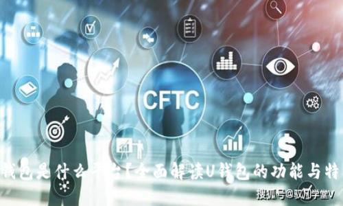 U钱包是什么平台？全面解读U钱包的功能与特点