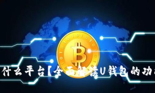 U钱包是什么平台？全面解读U钱包的功能与特点