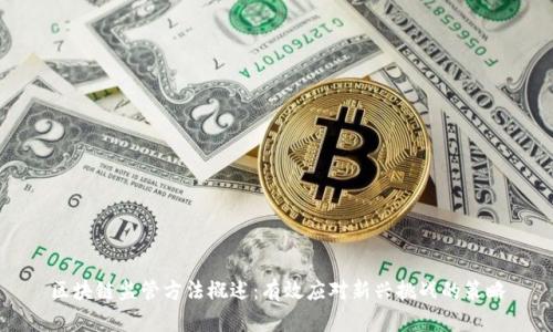 区块链监管方法概述：有效应对新兴挑战的策略