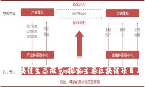 新加坡区块链生态概览：探索主要区块链项目与创新