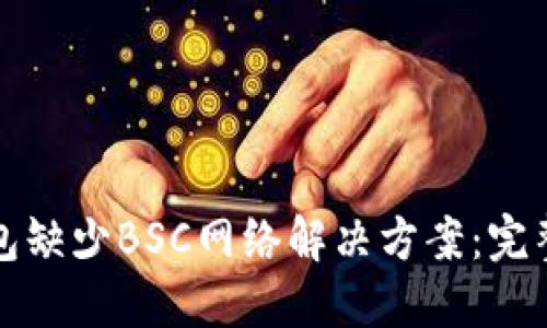 TP钱包缺少BSC网络解决方案：完整指南
