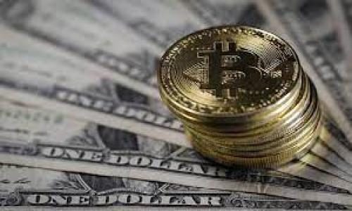 

如何查看TP钱包公钥：简单易懂的指南